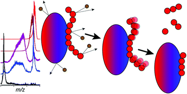 Graphical abstract: Evaluation of top-down mass spectrometry and ion-mobility spectroscopy as a means of mapping protein-binding motifs within heparin chains