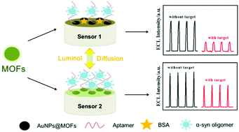 Graphical abstract: Electrochemiluminescent aptamer-sensor for alpha synuclein oligomer based on a metal–organic framework