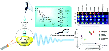 Graphical abstract: Fluorescence chemosensing of meldonium using a cross-reactive sensor array
