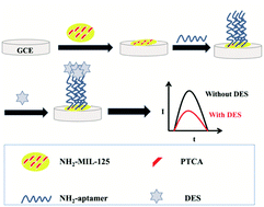 Graphical abstract: An ultrasensitive electrochemiluminescence aptasensor for the detection of diethylstilbestrol based on the enhancing mechanism of the metal–organic framework NH2-MIL-125(Ti) in a 3,4,9,10-perylenetetracarboxylic acid/K2S2O8 system