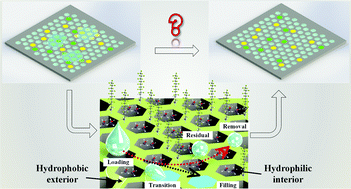 Graphical abstract: Heterogeneous modification of through-hole microwell chips for ultralow cross-contamination digital polymerase chain reaction