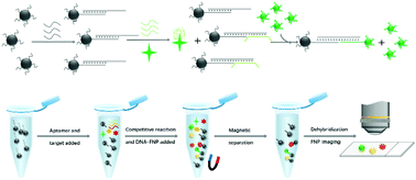 Graphical abstract: Competitive aptasensor for the ultrasensitive multiplexed detection of cancer biomarkers by fluorescent nanoparticle counting