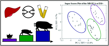 Graphical abstract: Comparison of liver and plasma metabolic profiles in piglets of different ages as animal models for paediatric population