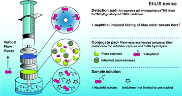 Graphical abstract: An enzyme inhibition-based lab-in-a-syringe device for point-of-need determination of pesticides