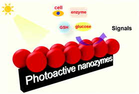 Graphical abstract: Light-responsive nanozymes for biosensing