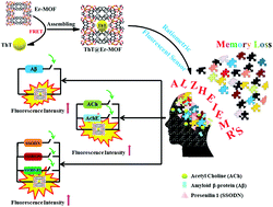Graphical abstract: Driving force to detect Alzheimer's disease biomarkers: application of a thioflavine T@Er-MOF ratiometric fluorescent sensor for smart detection of presenilin 1, amyloid β-protein and acetylcholine