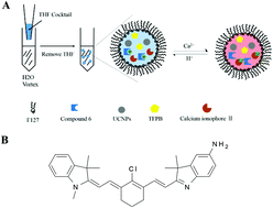 Graphical abstract: Upconverting ion-selective nanoparticles for the imaging of intracellular calcium ions