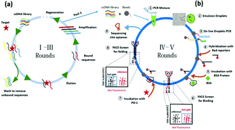 Graphical abstract: Productive screening of single aptamers with ddPCR