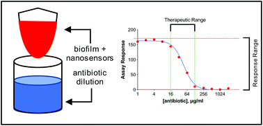 Graphical abstract: Nanodiagnostics to monitor biofilm oxygen metabolism for antibiotic susceptibility testing