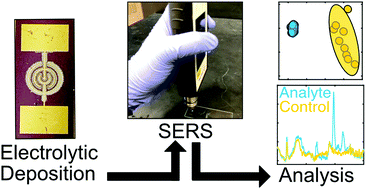 Graphical abstract: Portable surface-enhanced Raman scattering analysis performed with microelectrode-templated silver nanodendrites