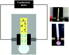 Graphical abstract: A paper-based conductive immunosensor for the determination of Salmonella Typhimurium