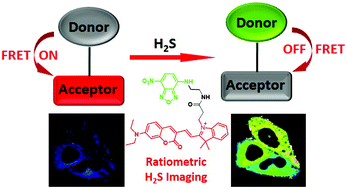 Graphical abstract: FRET-based fluorescent ratiometric probes for the rapid detection of endogenous hydrogen sulphide in living cells