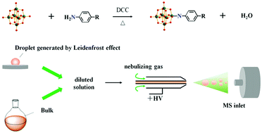 Graphical abstract: Facile and efficient preparation of organoimido derivatives of [Mo6O19]2− using accelerated reactions in Leidenfrost droplets