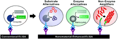 Graphical abstract: Recent advances in nanomaterial-enhanced enzyme-linked immunosorbent assays