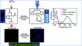 Graphical abstract: New simple molecular fluorescent probes for rapid and highly selective sensing of hydrazine by aggregate-induced emission