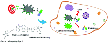 Graphical abstract: Evaluation of a GSH-targeting prodrug via a sulfonamide-induced “integrative” platform for selective cancer therapy