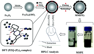Graphical abstract: Magnetic molecularly imprinted conducting polymer for determination of praziquantel enantiomers in milk
