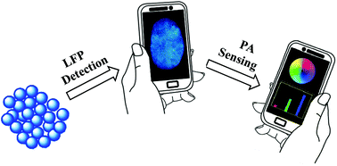 Graphical abstract: A simple and ubiquitous device for picric acid detection in latent fingerprints using carbon dots