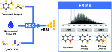 Graphical abstract: Specification of the nitrogen functional group in a hydrotreated petroleum molecule using hydrogen/deuterium exchange electrospray ionization high-resolution mass spectrometry
