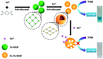 Graphical abstract: Fe–Ni metal–organic frameworks with prominent peroxidase-like activity for the colorimetric detection of Sn2+ ions