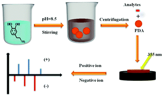 Graphical abstract: Surface-enhanced laser desorption/ionization mass spectrometry for rapid analysis of organic environmental pollutants by using polydopamine nanospheres as a substrate