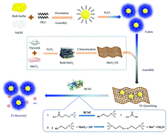 Graphical abstract: Ultrasensitive detection of butyrylcholinesterase activity based on the inner filter effect of MnO2 nanosheets on sulfur nanodots
