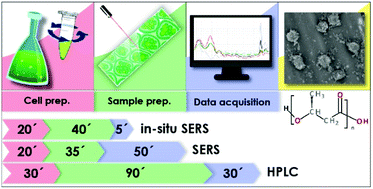 Graphical abstract: In situ based surface-enhanced Raman spectroscopy (SERS) for the fast and reproducible identification of PHB producers in cyanobacterial cultures