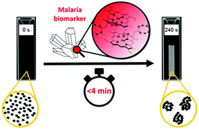 Graphical abstract: Rapid quantification of the malaria biomarker hemozoin by improved biocatalytically initiated precipitation atom transfer radical polymerizations