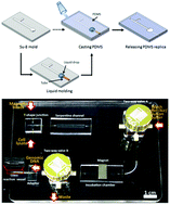 Graphical abstract: One-step liquid molding based modular microfluidic circuits