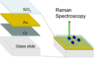 Graphical abstract: Development of an inexpensive Raman-compatible substrate for the construction of a microarray screening platform