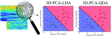 Graphical abstract: A three-dimensional discriminant analysis approach for hyperspectral images