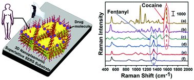 Graphical abstract: Optimization of electromagnetic hot spots in surface-enhanced Raman scattering substrates for an ultrasensitive drug assay of emergency department patients’ plasma