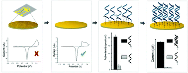 Graphical abstract: Gold-sputtered microelectrodes with built-in gold reference and counter electrodes for electrochemical DNA detection