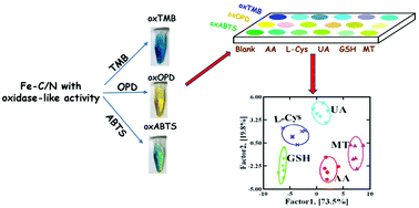 Graphical abstract: Fe–N/C single-atom nanozyme-based colorimetric sensor array for discriminating multiple biological antioxidants