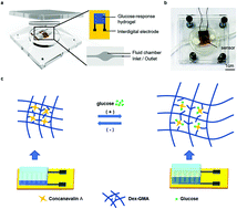 Graphical abstract: An enzyme-free capacitive glucose sensor based on dual-network glucose-responsive hydrogel and coplanar electrode