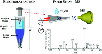 Graphical abstract: Direct coupling of paper spray mass spectrometry and four-phase electroextraction sample preparation