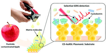 Graphical abstract: A cyclodextrin-decorated plasmonic gold nanosatellite substrate for selective detection of bipyridylium pesticides