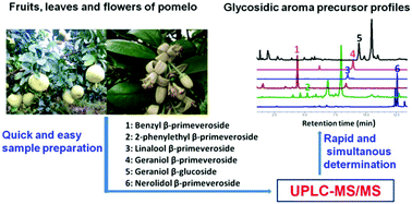 Graphical abstract: Simultaneous determination of six glycosidic aroma precursors in pomelo by ultra-high performance liquid chromatography-tandem mass spectrometry