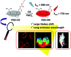 Graphical abstract: The construction of a near-infrared fluorescent probe with dual advantages for imaging carbon monoxide in cells and in vivo