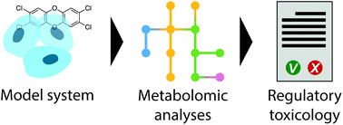 Graphical abstract: Approaches in metabolomics for regulatory toxicology applications