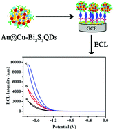 Graphical abstract: Ultrasensitive detection of cyclin D1 by a self-enhanced ECL immunosensor based on Bi2S3 quantum dots