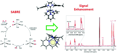Graphical abstract: Optimization of signal amplification by reversible exchange for polarization of tridentate chelating bis[(2-pyridyl)alkyl]amine