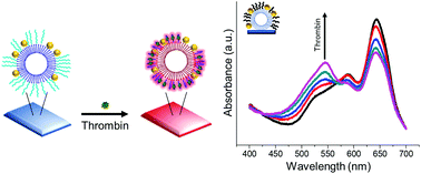 Graphical abstract: Solid-state colorimetric polydiacetylene liposome biosensor sensitized by gold nanoparticles