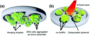 Graphical abstract: Pulsed laser assisted high-throughput intracellular delivery in hanging drop based three dimensional cancer spheroids