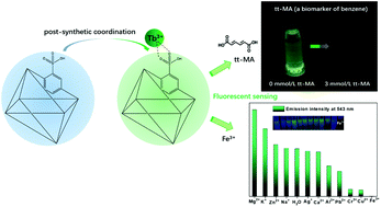 Graphical abstract: Covalent-coordination tandem functionalization of a metal–organic framework (UiO-66) as a hybrid probe for luminescence detection of trans,trans-muconic acid as a biomarker of benzene and Fe3+