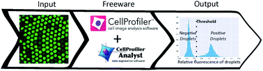 Graphical abstract: Droplet image analysis with user-friendly freeware CellProfiler