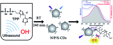 Graphical abstract: Facile fabrication of N/S/P tri-doped carbon dots for tetracycline detection by an internal filtering effect of a two-way matching strategy