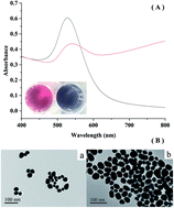 Graphical abstract: Rapid determination of the pesticide ametryn based on a colorimetric aptasensor of gold nanoparticles