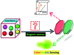 Graphical abstract: A review on chemical and electrochemical methodologies for the sensing of biogenic amines