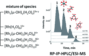 Graphical abstract: Rh(iii) hydroxocomplexes speciation using HPLC-ESI-MS